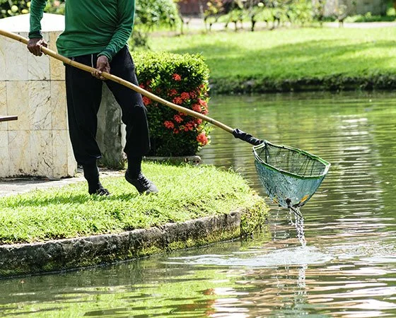 Pond Services